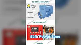 دیزل ژنراتور ضد انفجار 00kva ATEX Zone