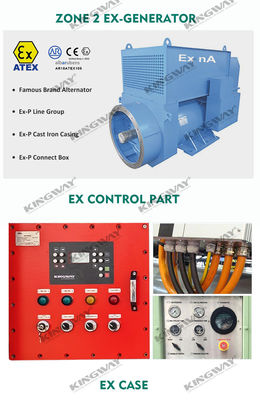 پلت فرم دریایی ATEX منطقه 2 32kw 40kva منطقه1 مجموعه ژنراتور دیزل ضد انفجار DNVGL 2.7-1 فریم بلند